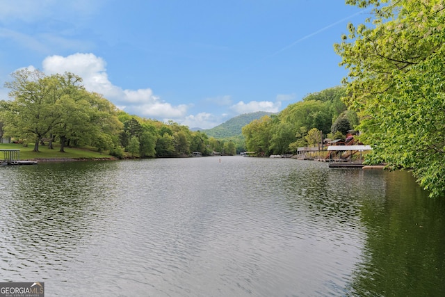 property view of water