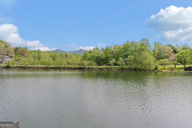 property view of water