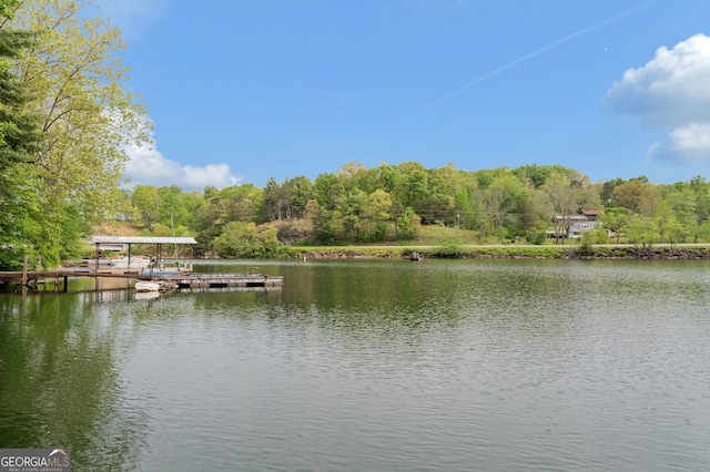 water view with a wooded view and a floating dock