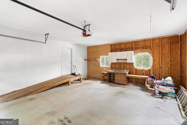 garage featuring wood walls and a garage door opener