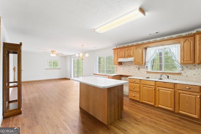 kitchen with backsplash, stainless steel dishwasher, wood finished floors, a sink, and under cabinet range hood