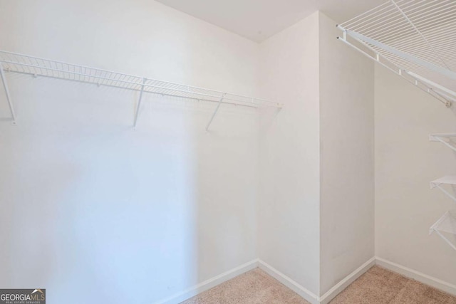1003 Eldon Ln, Fairburn, GA 30213 - spacious closet with carpet flooring