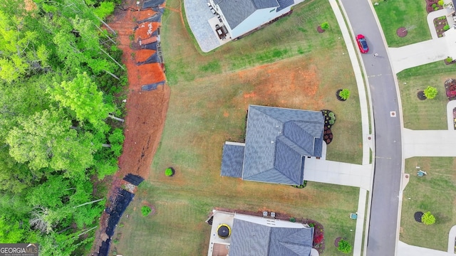 bird's eye view