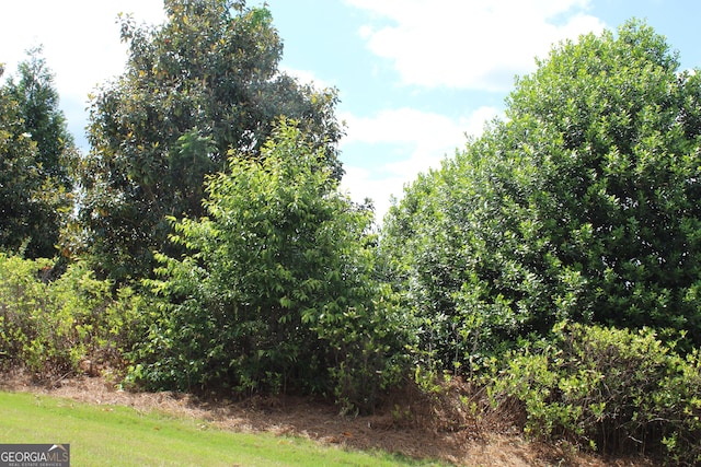 121 Plumleaf Ct, Griffin, GA 30223 - view of local wilderness