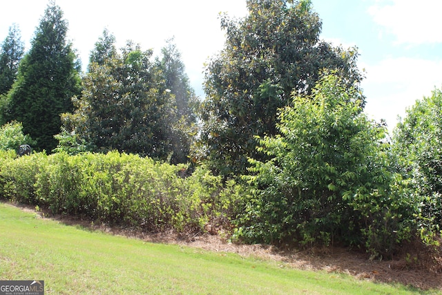 121 Plumleaf Ct, Griffin, GA 30223 - view of yard