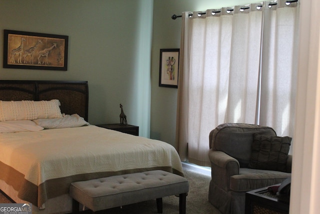 121 Plumleaf Ct, Griffin, GA 30223 - view of carpeted bedroom
