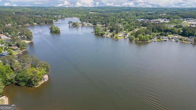 birds eye view of property with a water view and a wooded view