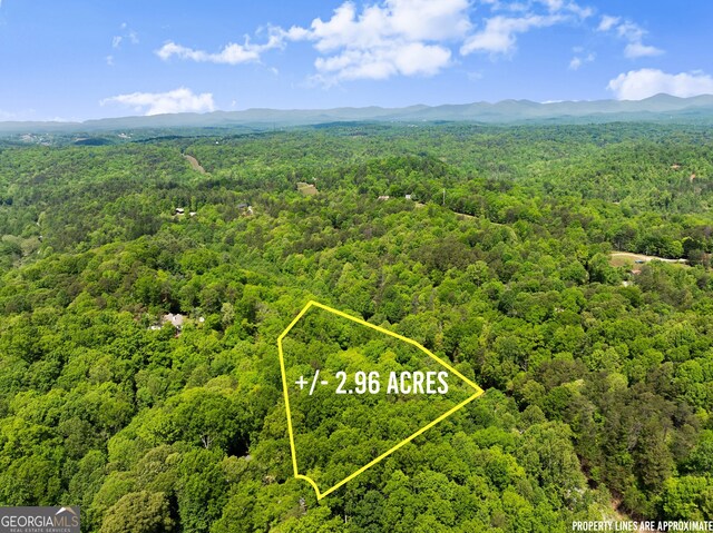 364 Cherokee Trce, Dahlonega, GA 30533 - aerial view with a forest view