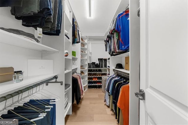 walk in closet featuring light wood finished floors