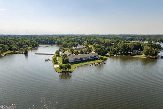 bird's eye view featuring a water view and a view of trees