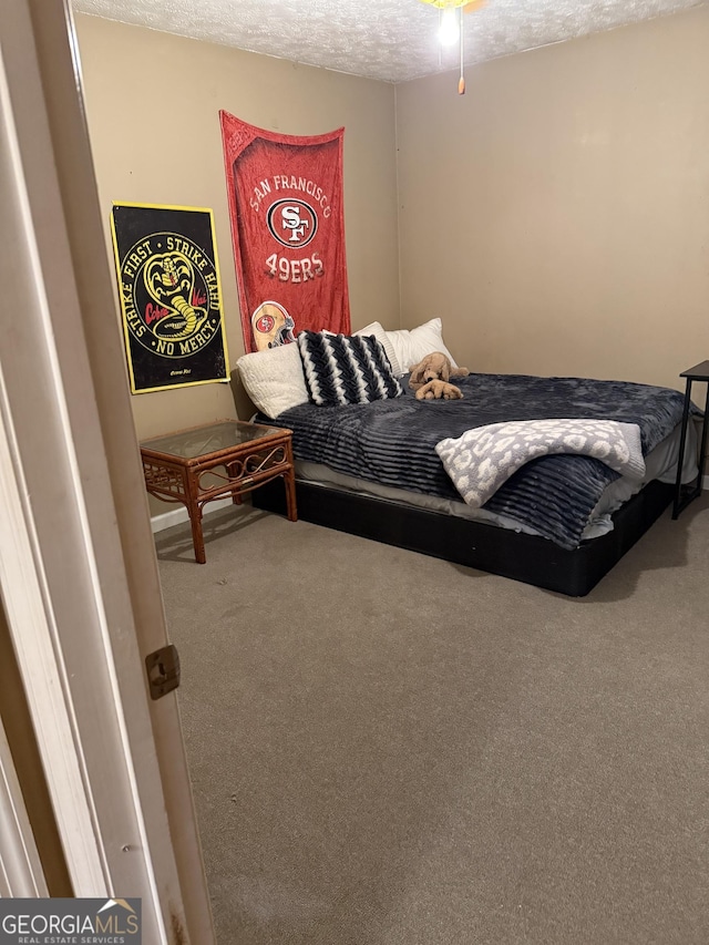 182 Boxer Ln, Rock Spring, GA 30739 - bedroom with carpet and a textured ceiling