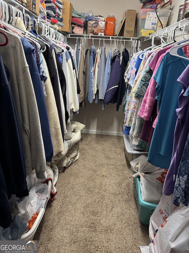 spacious closet with carpet floors