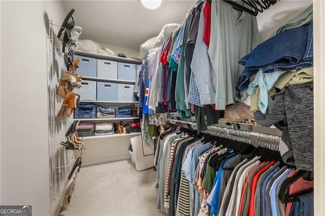 spacious closet featuring carpet