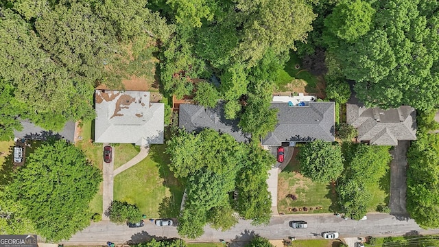 1410 Lively Ridge Rd, Atlanta, GA 30329 - birds eye view of property