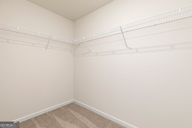 264 Oliver Dr, Locust Grove, GA 30248 - walk in closet with light colored carpet