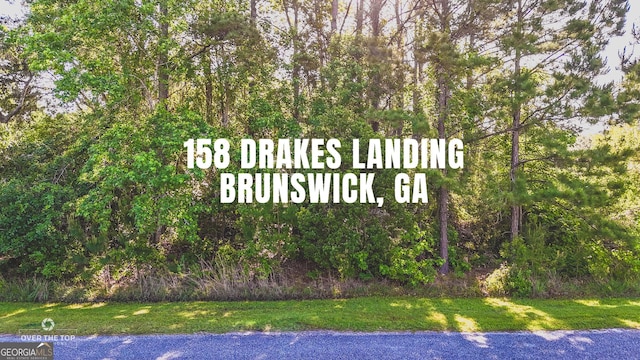 158 Drakes Lndg, Brunswick, GA 31523