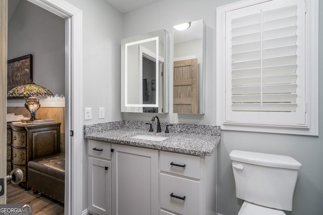 20 Mohawk Trl, Ellijay, GA 30540 - half bathroom featuring vanity, wood finished floors, and toilet
