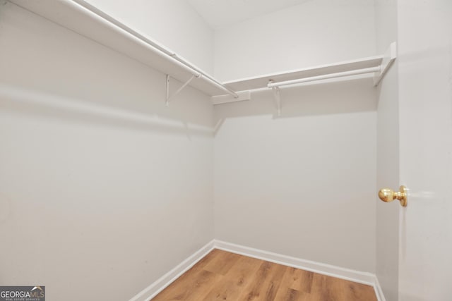 walk in closet with light wood-type flooring