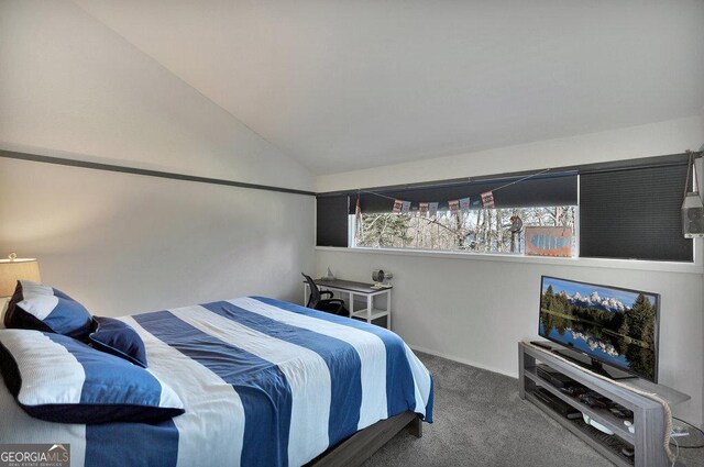 202 Providence Villas, Anderson, SC 29626 - carpeted bedroom featuring lofted ceiling