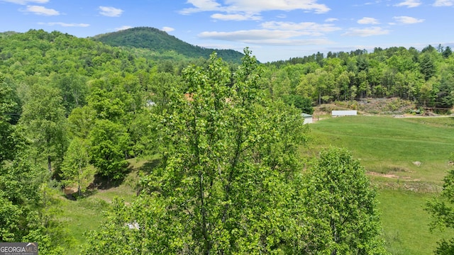 property view of mountains with a wooded view