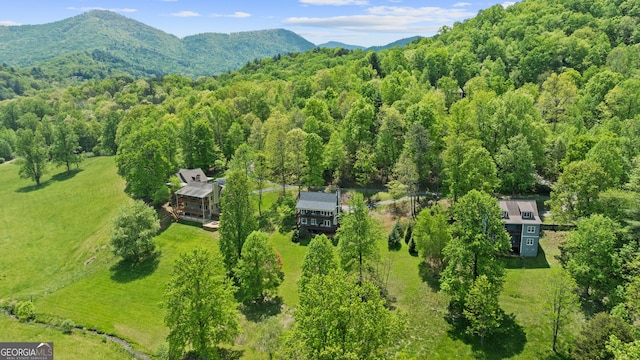 bird's eye view featuring a mountain view and a wooded view