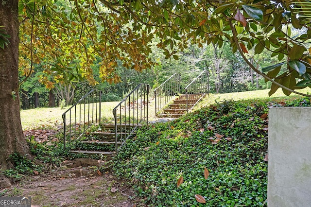 1464 Twin Pines Dr, Macon, GA 31211 - view of yard with stairs