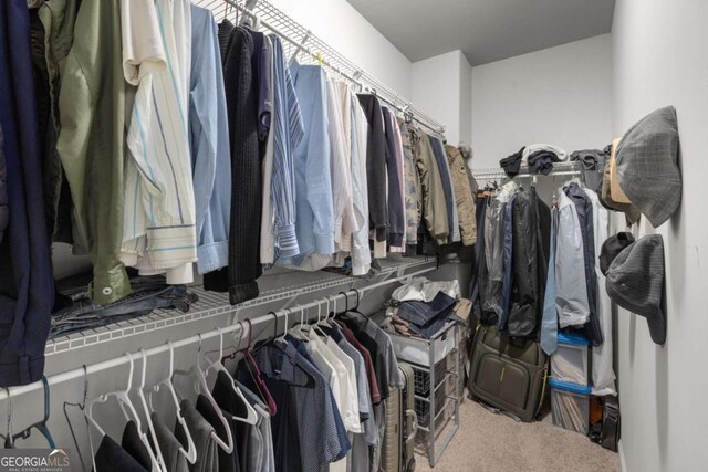 spacious closet featuring carpet flooring