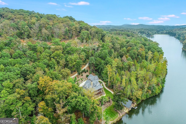 bird's eye view featuring a water view and a view of trees