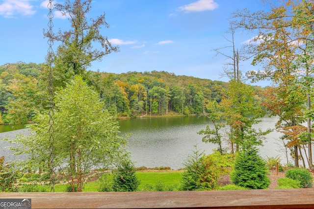 water view featuring a wooded view