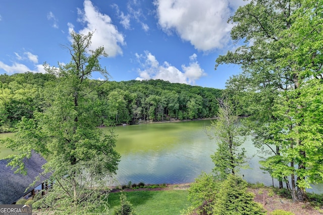676 N Shore Dr, Cleveland, GA 30528 - water view with a forest