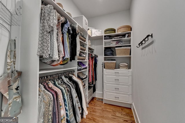 676 N Shore Dr, Cleveland, GA 30528 - spacious closet with light wood-type flooring