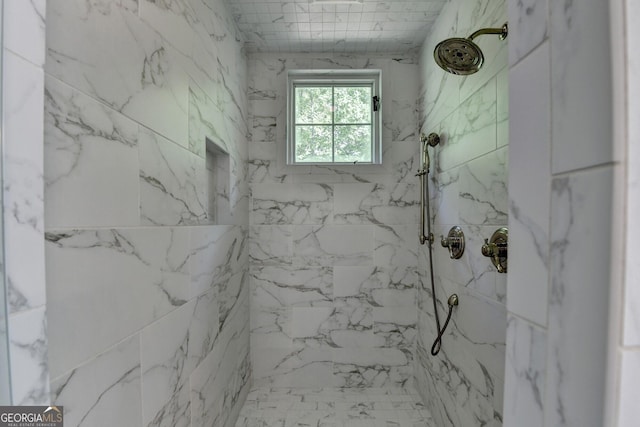 676 N Shore Dr, Cleveland, GA 30528 - full bath featuring a marble finish shower