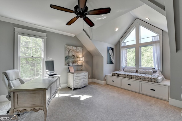 676 N Shore Dr, Cleveland, GA 30528 - home office featuring plenty of natural light, light colored carpet, a ceiling fan, and vaulted ceiling