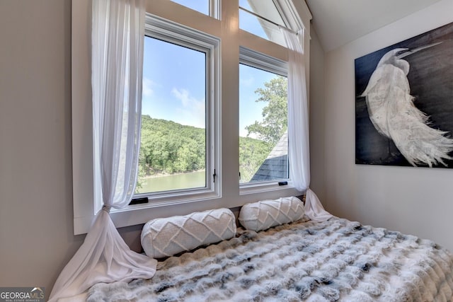 676 N Shore Dr, Cleveland, GA 30528 - bedroom featuring vaulted ceiling