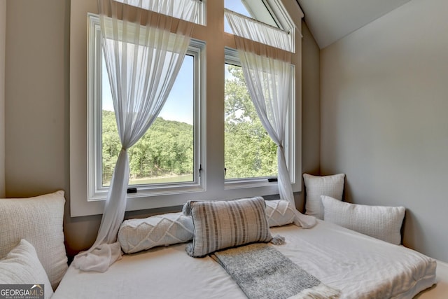 676 N Shore Dr, Cleveland, GA 30528 - bedroom with multiple windows and vaulted ceiling