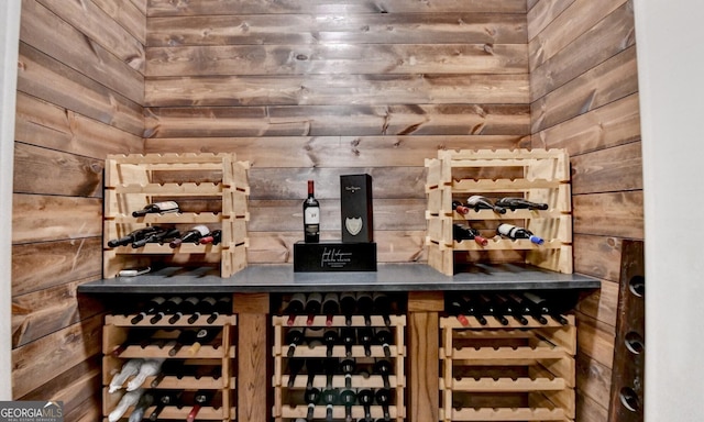 676 N Shore Dr, Cleveland, GA 30528 - wine room featuring wood walls