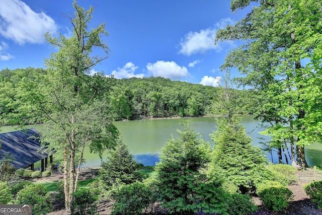 676 N Shore Dr, Cleveland, GA 30528 - water view featuring a heavily wooded area