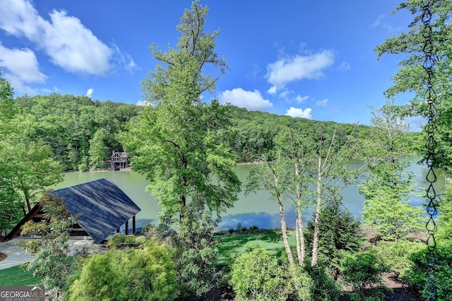 676 N Shore Dr, Cleveland, GA 30528 - bird's eye view of a heavily wooded area