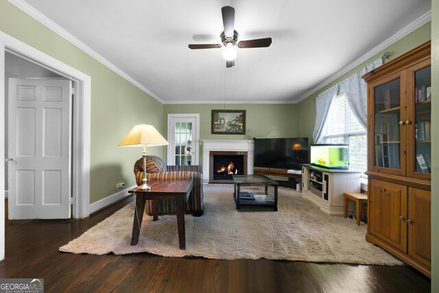 404 E 11th St SE, Rome, GA 30161 - living area featuring crown molding, a ceiling fan, wood finished floors, and a warm lit fireplace