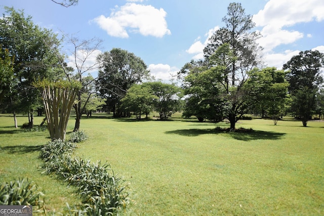 1737 Green Acres Dr, Vidalia, GA 30474 - view of yard