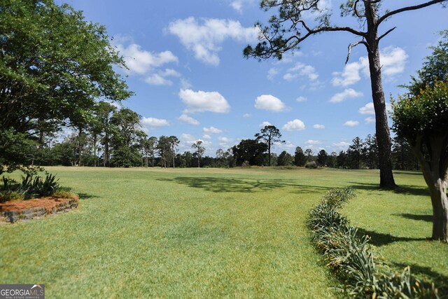 1737 Green Acres Dr, Vidalia, GA 30474 - view of yard