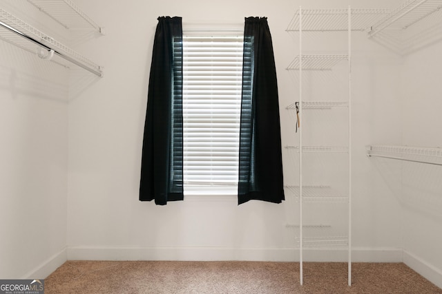 102 Herons Nest Cir, Kingsland, GA 31548 - spacious closet featuring carpet floors