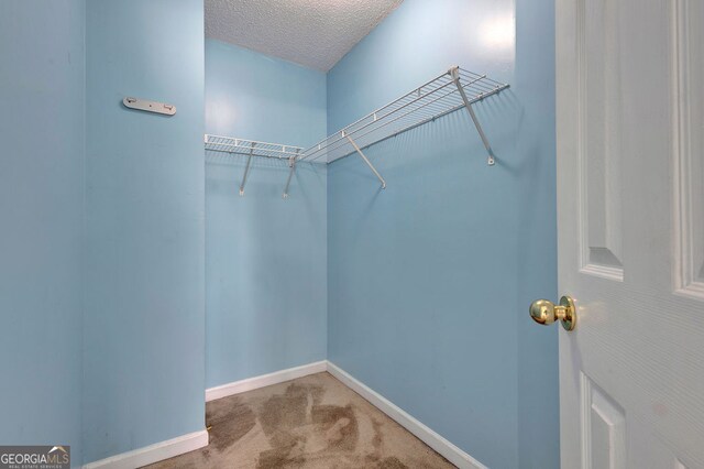 7293 Bridlewood Ct, Jonesboro, GA 30236 - walk in closet with carpet flooring