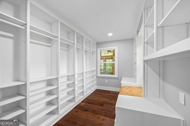 walk in closet with dark wood-style floors