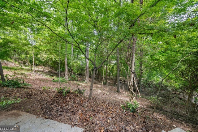 view of local wilderness featuring a view of trees