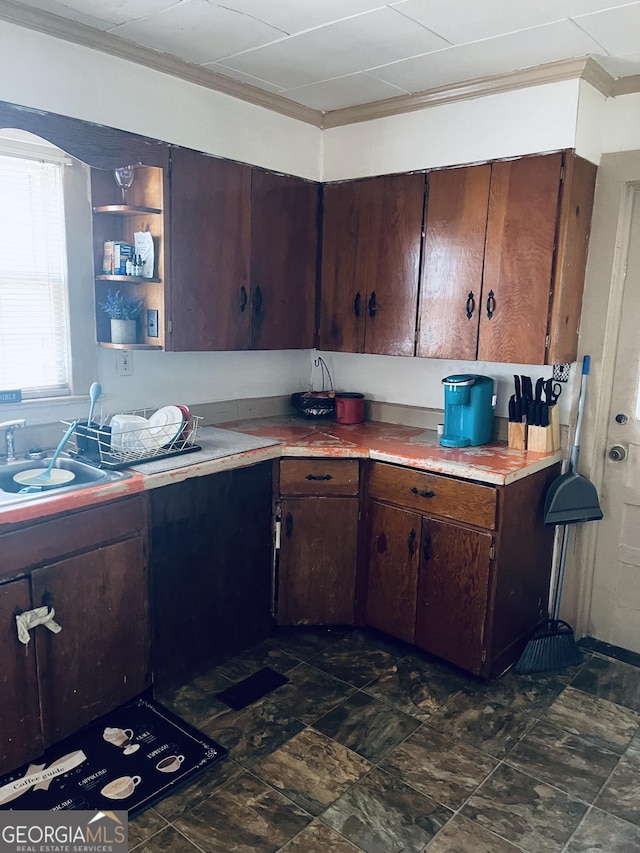 kitchen with dark brown cabinetry, crown molding, open shelves, light countertops, and a sink