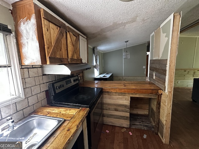 341 Mountain Lake View Dr, Jasper, GA 30143 - kitchen featuring electric stove, wood counters, a sink, dark wood-style floors, and a textured ceiling
