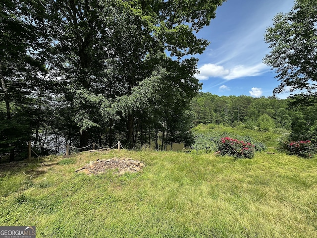 341 Mountain Lake View Dr, Jasper, GA 30143 - view of yard with a view of trees
