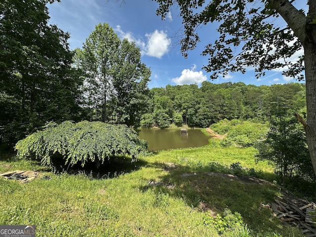 341 Mountain Lake View Dr, Jasper, GA 30143 - view of woods featuring a water view
