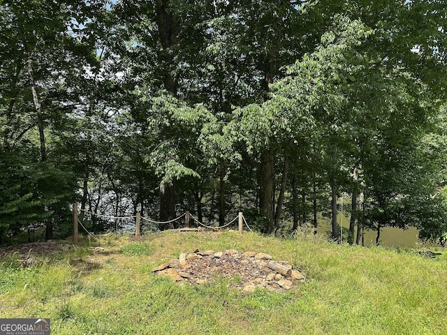 341 Mountain Lake View Dr, Jasper, GA 30143 - view of nature